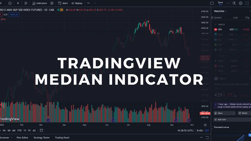 TradingView Data: A Major Divergence in the Crypto Crash